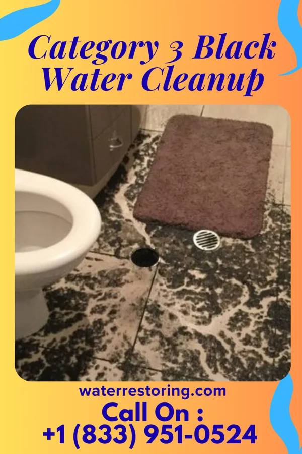 Category 3 Black Water Cleanup in Boykin, SC