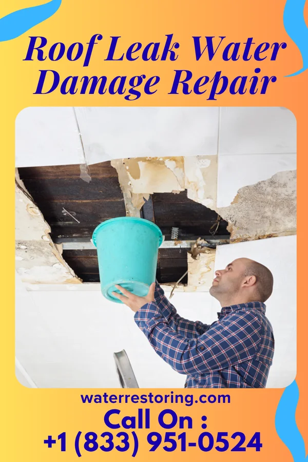 Roof Leak Water Damage Repair in Boykin, SC